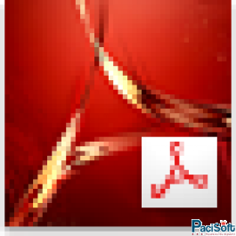 Adobe Acrobat DC Pro (Pepertual)