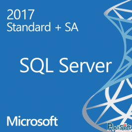 SQL Server Standard with SA