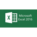 Microsoft Excel OLP 2016