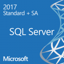 [OLP] SQLSvrStd 2017 SNGL OLP NL w/ Software Assurance (228-04628)