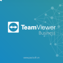 Teamviewer Business (Subscription) 