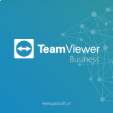 Teamviewer Business 