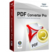 PDF To Word Converter Pro - 1PC