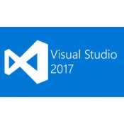 Microsoft Visual Studio Professional