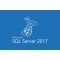 Microsoft SQL Server Standard 2017 (SNGL OLP NL (228-10344))